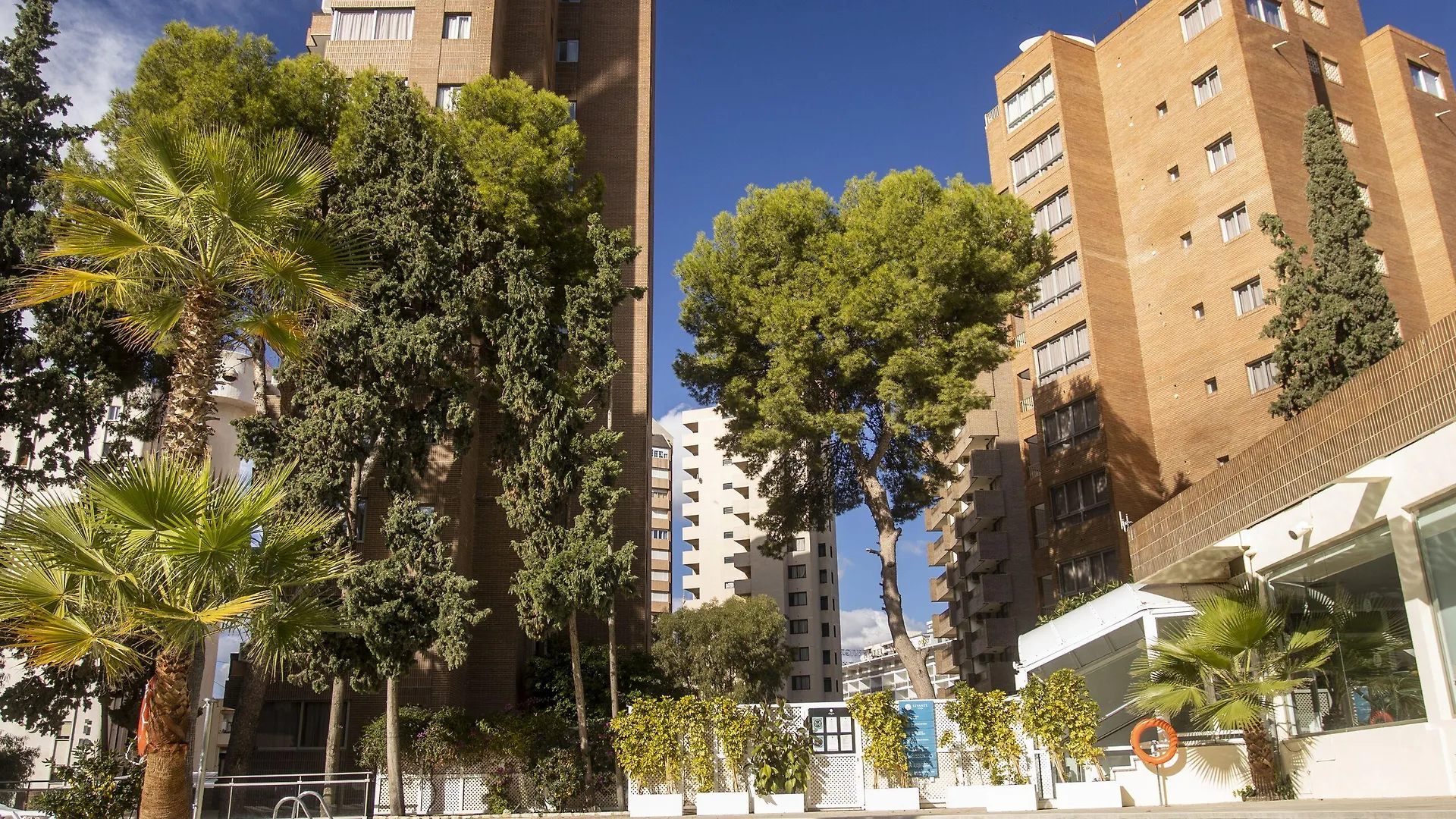 4 Budget Hotels In Levante Beach That Deliver Real Value